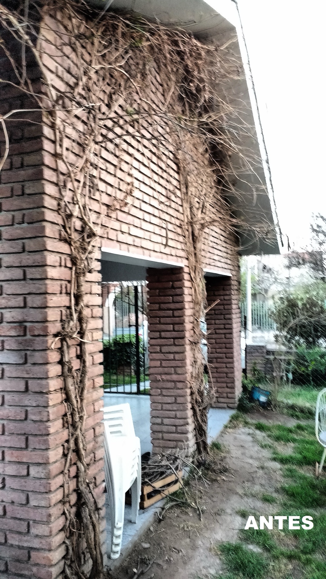 House — Hacha 10